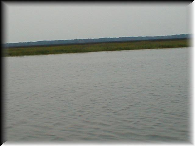 P1010017