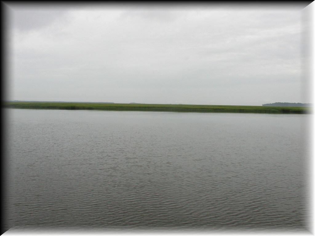P7150036
