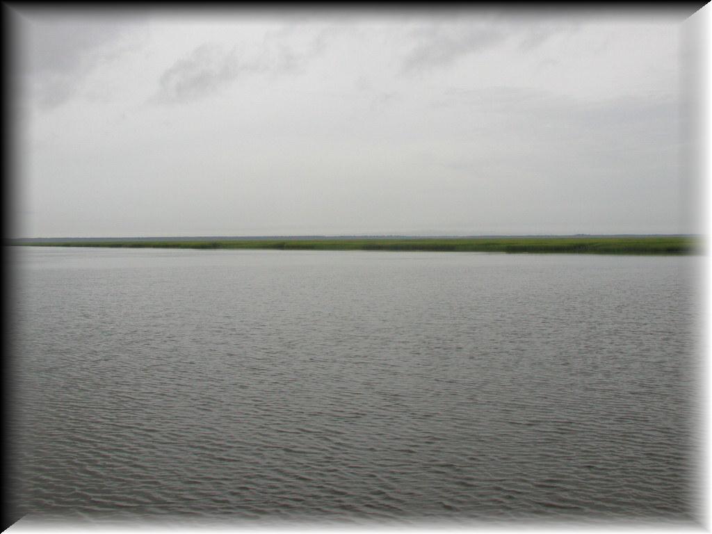 P7150043