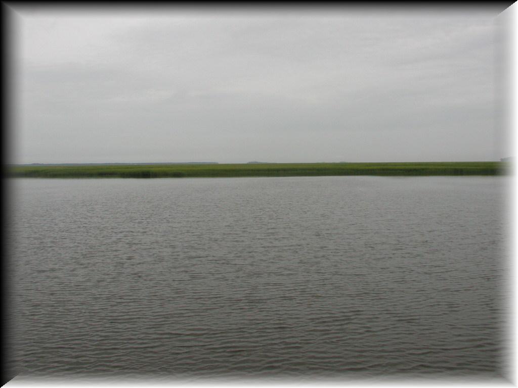 P7150044