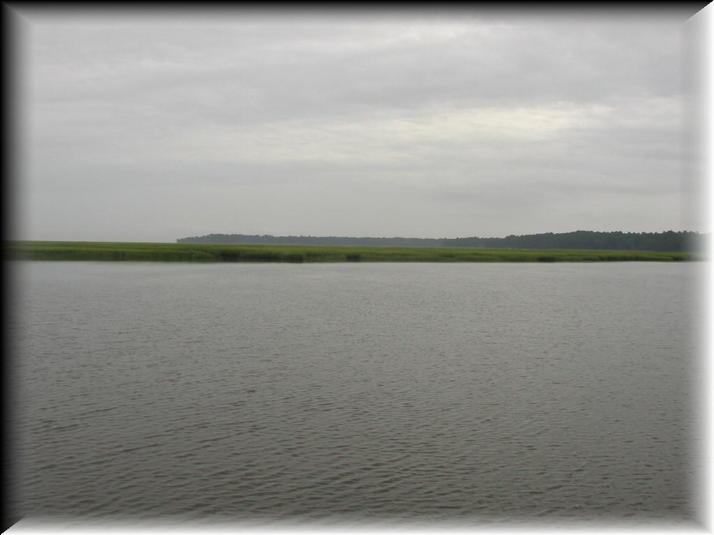 P7150045