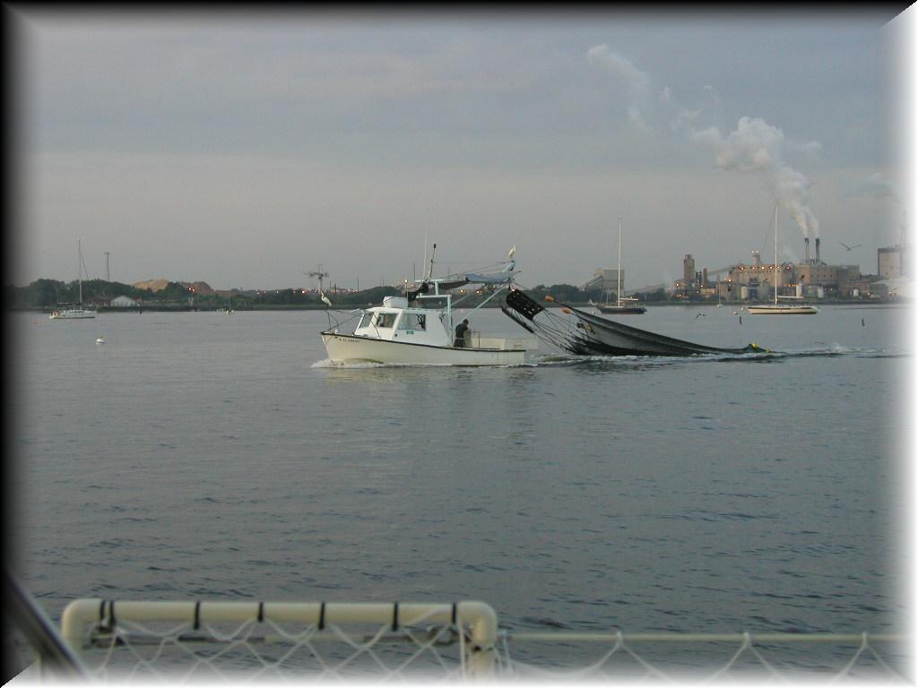 P7170049