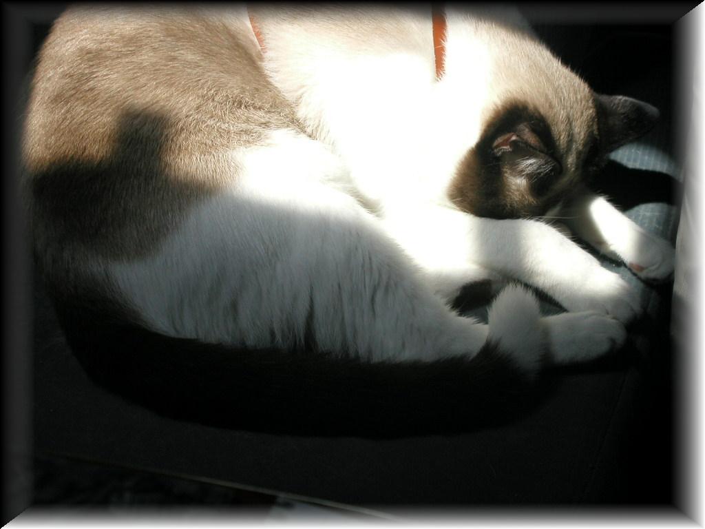 P7300097