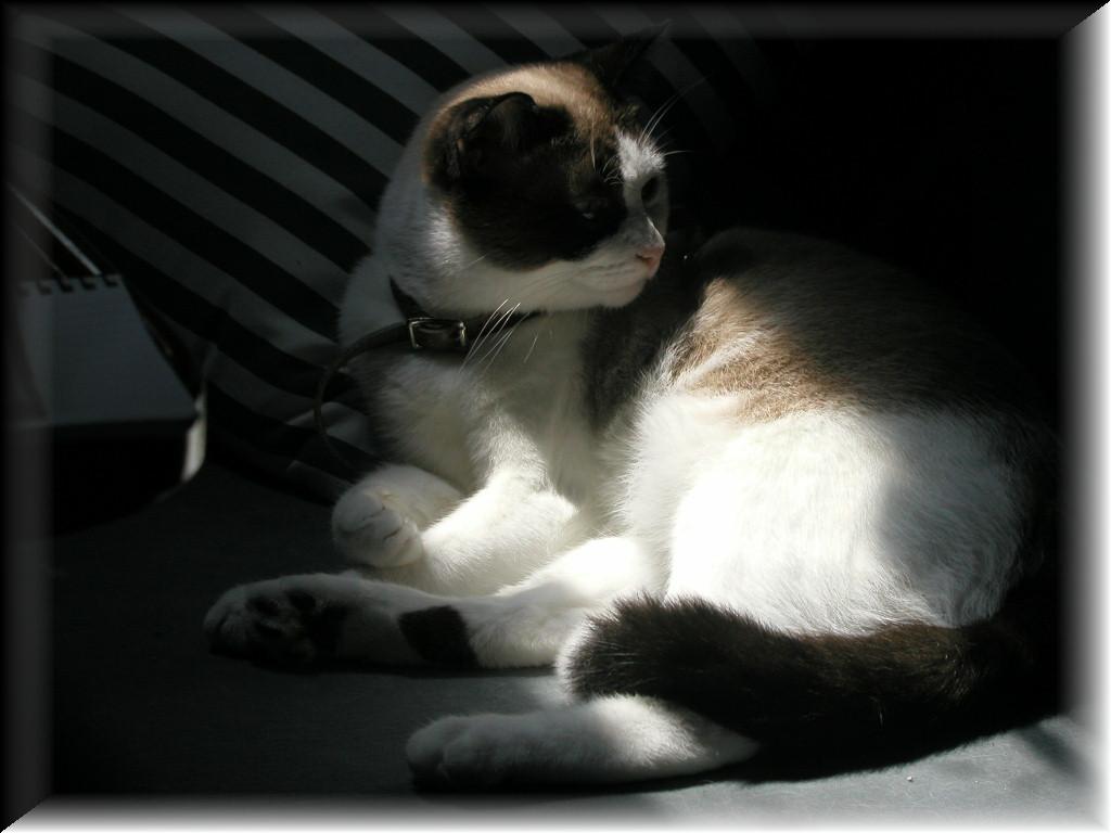 P7300100