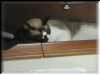 P7300099