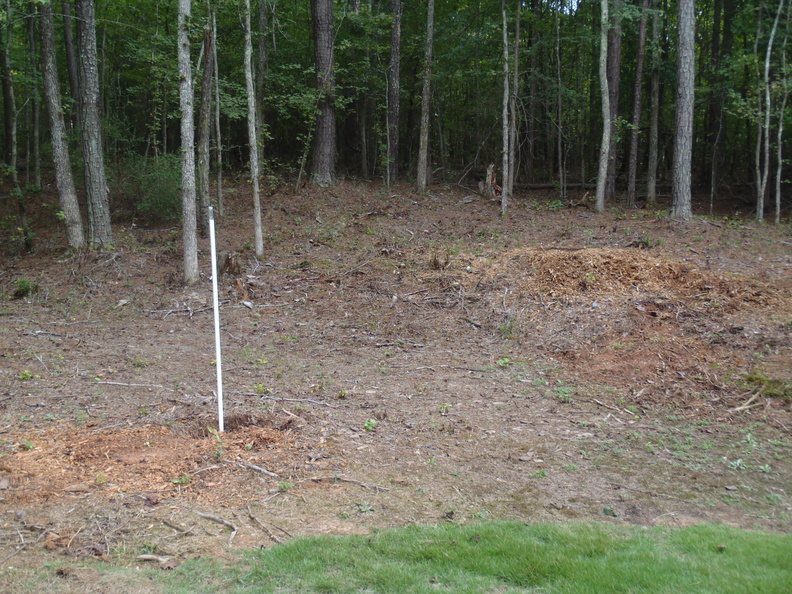 Far left of the area in quesiton. This is a view facing south. p9120336.jpg